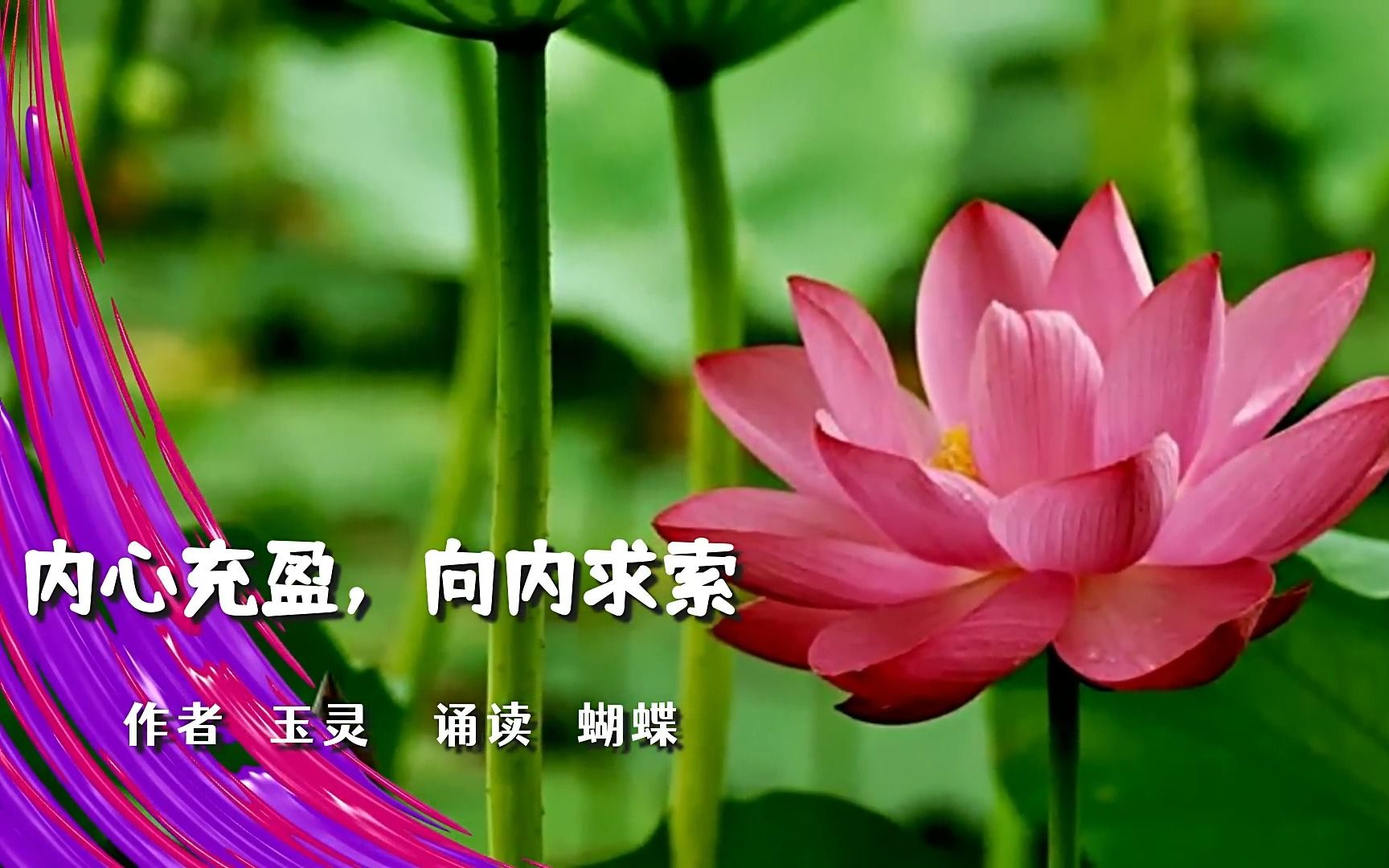 内心充盈向内求索