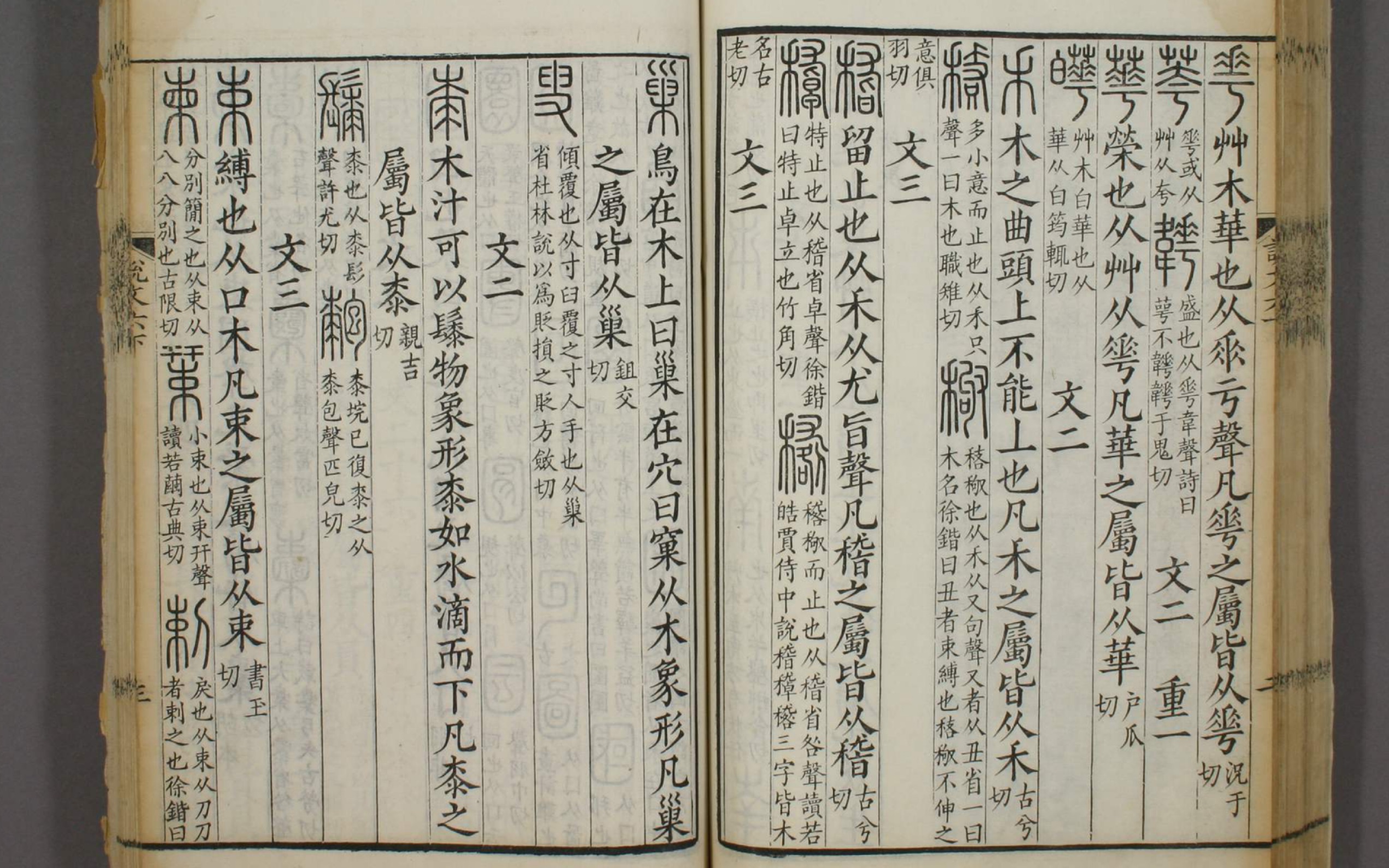 [图]解读《说文解字》部首 218——huā（華—花）