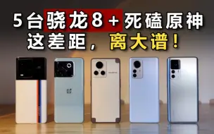 Download Video: 骁龙8+手机谁更好？性能续航发热实测，火龙与驯龙并存，奇葩！