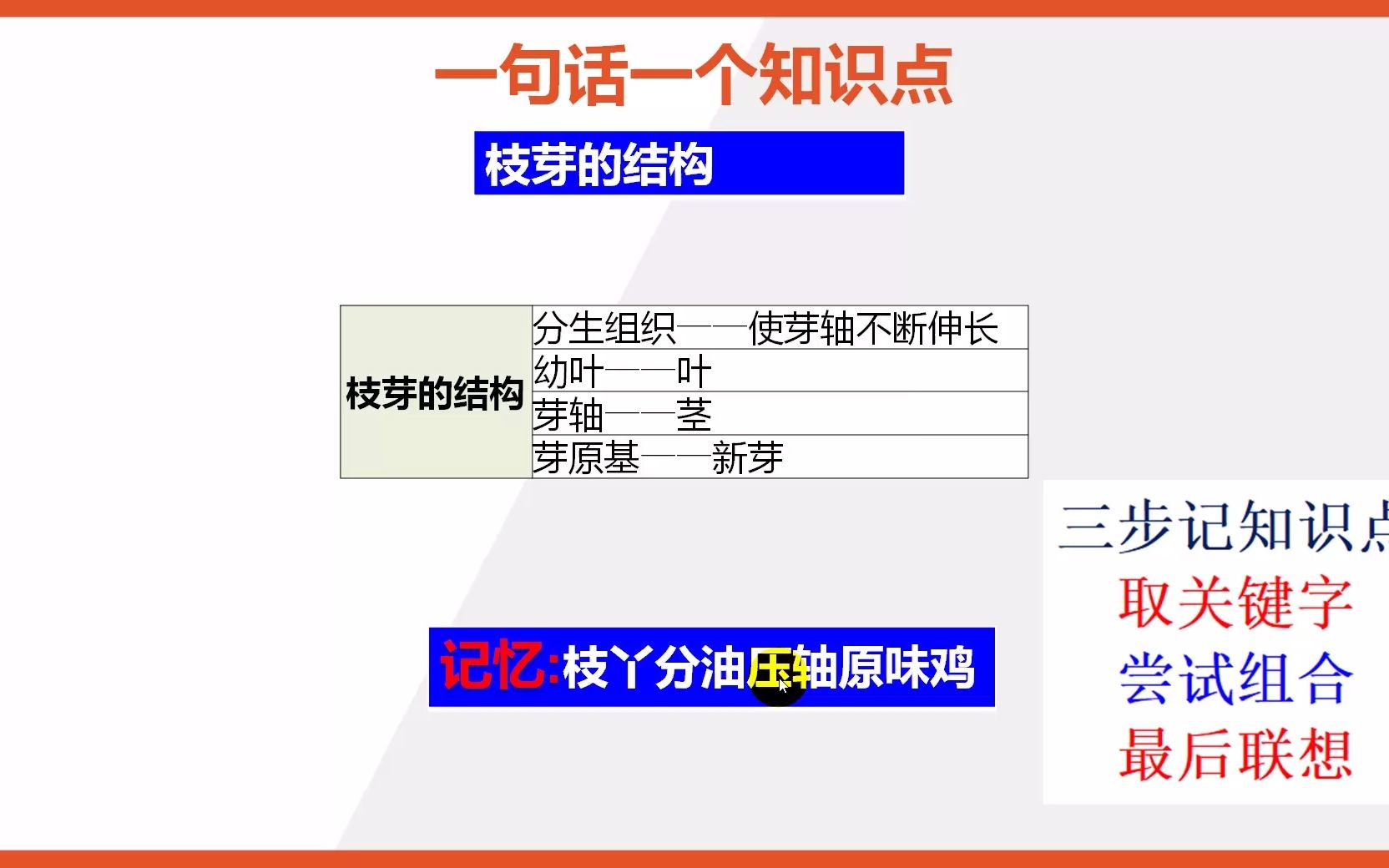 【七年级上册生物知识点记忆】枝芽的结构哔哩哔哩bilibili