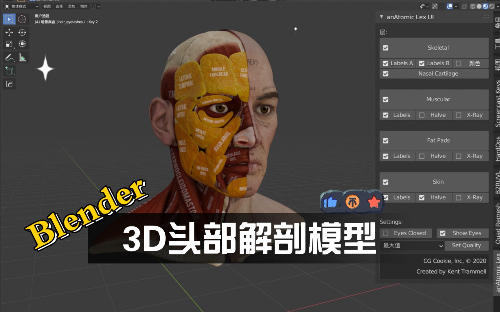 Blender三维面部解剖模型艺术家理解面部解剖学所需的一切哔哩哔哩bilibili