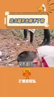 看来这次祖宗也无能为力了