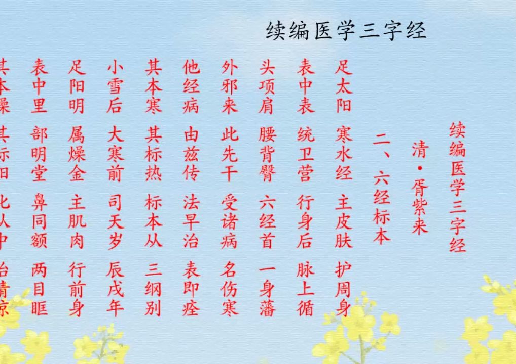 续编医学三字经 · 二,六经标本,三,病因病机.