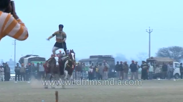 锡克骑兵 Sikh warriors ride horses with iron spears and swords哔哩哔哩bilibili