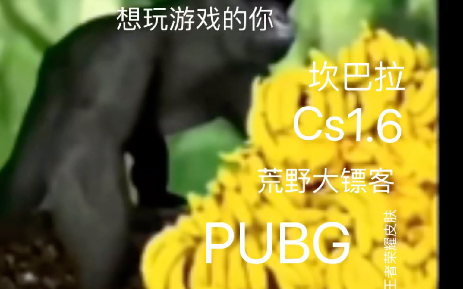 当你小时候下软件Be like:哔哩哔哩bilibili