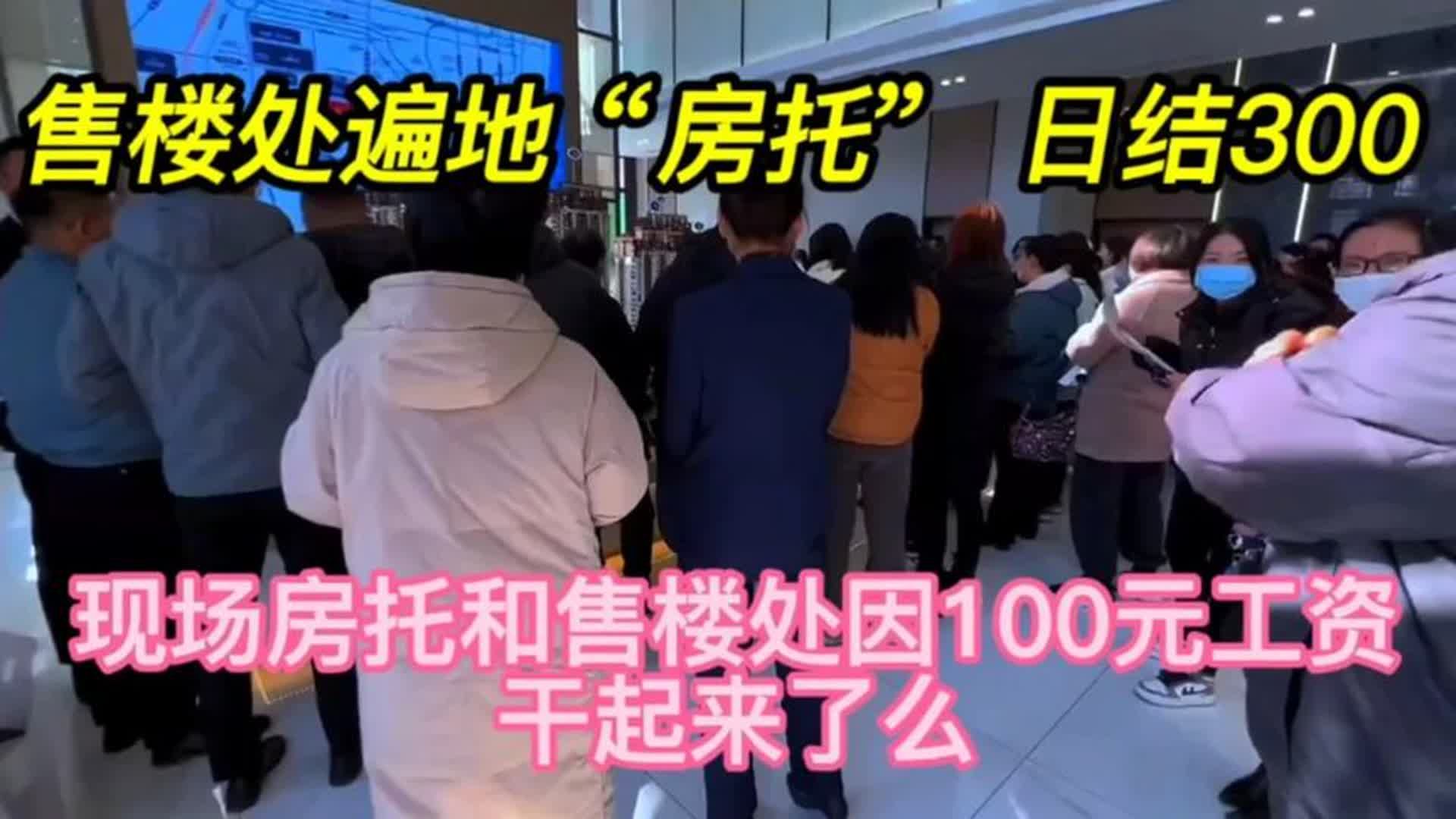 楼市遍地“房托”,现场房托和售楼处干起来了,只因为100元工资哔哩哔哩bilibili