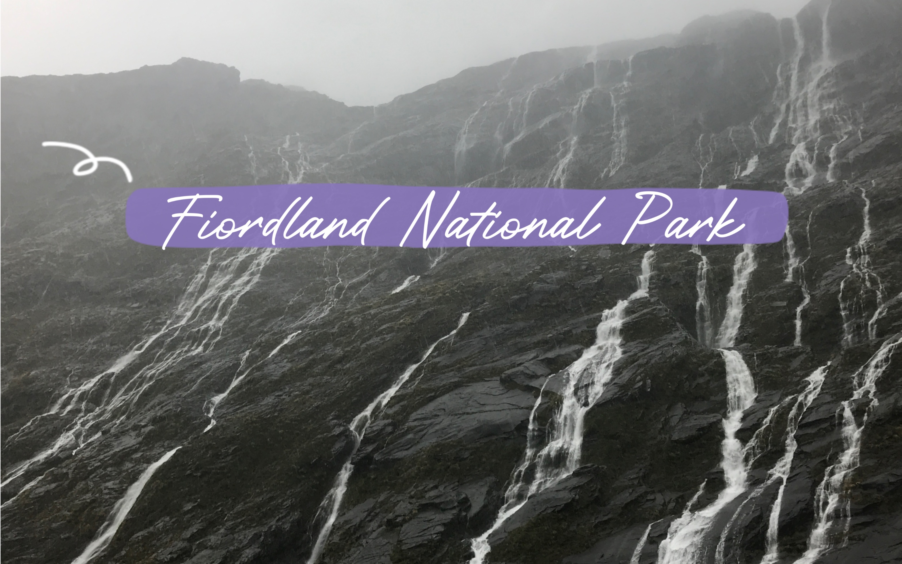 新西兰米尔福德峡湾 Fiordland National Park哔哩哔哩bilibili