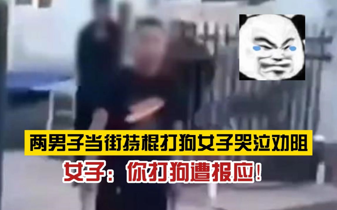 “别打了”!黑龙江两男子当街持棍打狗,女子哭泣劝阻哔哩哔哩bilibili