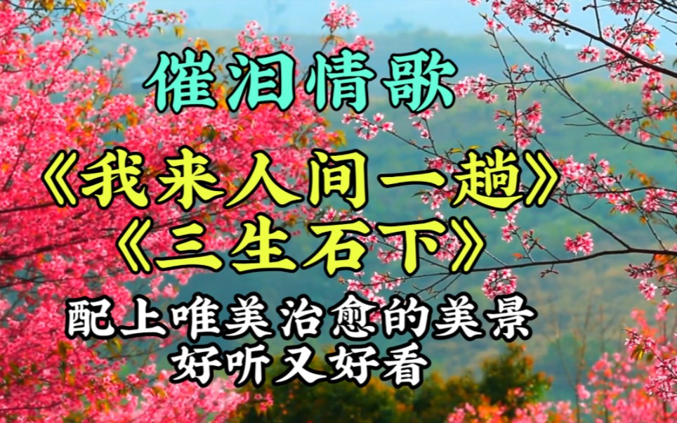 [图]催泪伤感歌曲＜我来人间一趟＞＜三生石下＞配上唯美治愈的美景，好听又好看