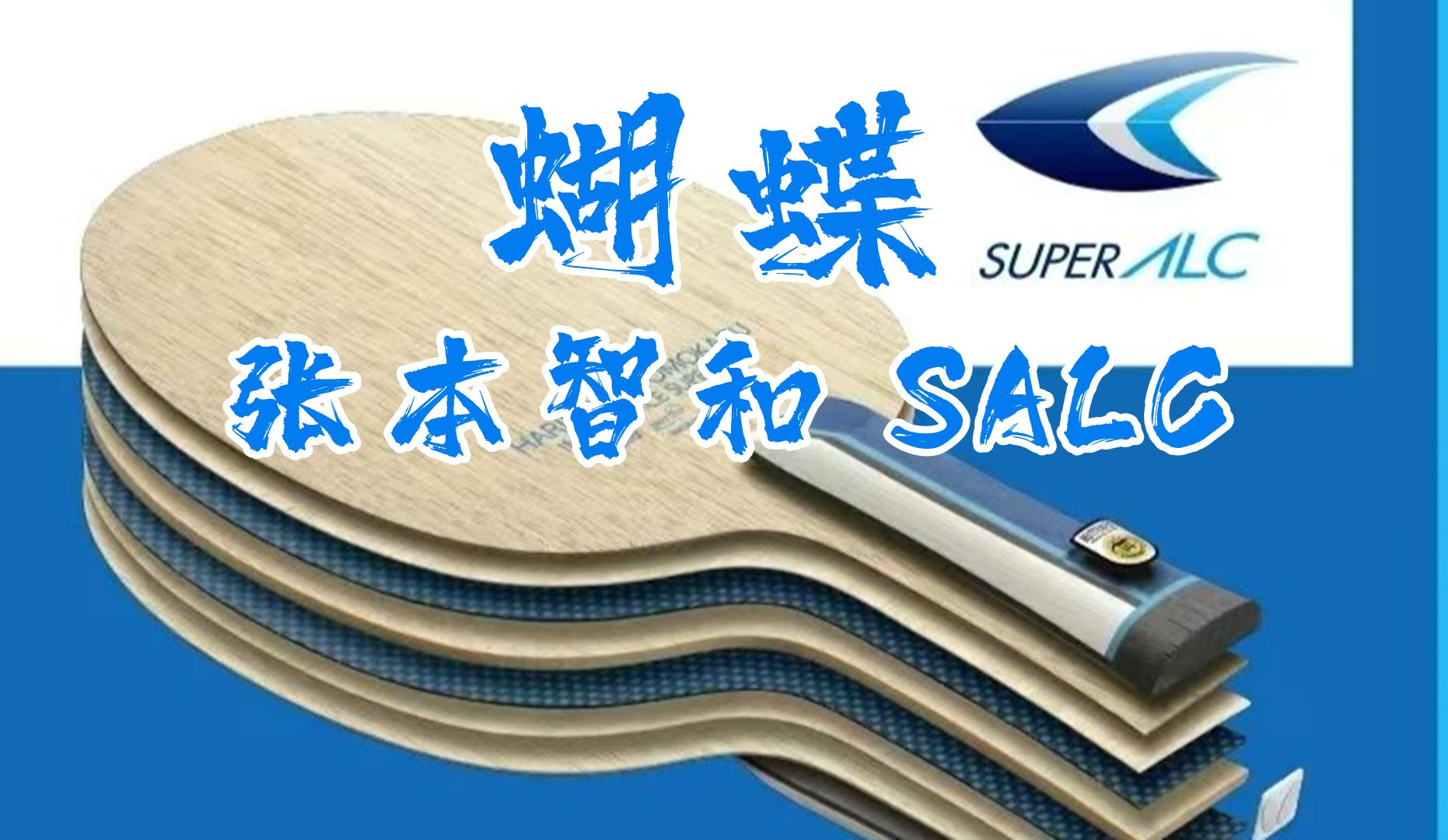 SALC的正确用法【蝴蝶 张本智和 SALC 试打报告】哔哩哔哩bilibili