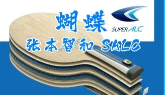 Descargar video: SALC的正确用法【蝴蝶 张本智和 SALC 试打报告】