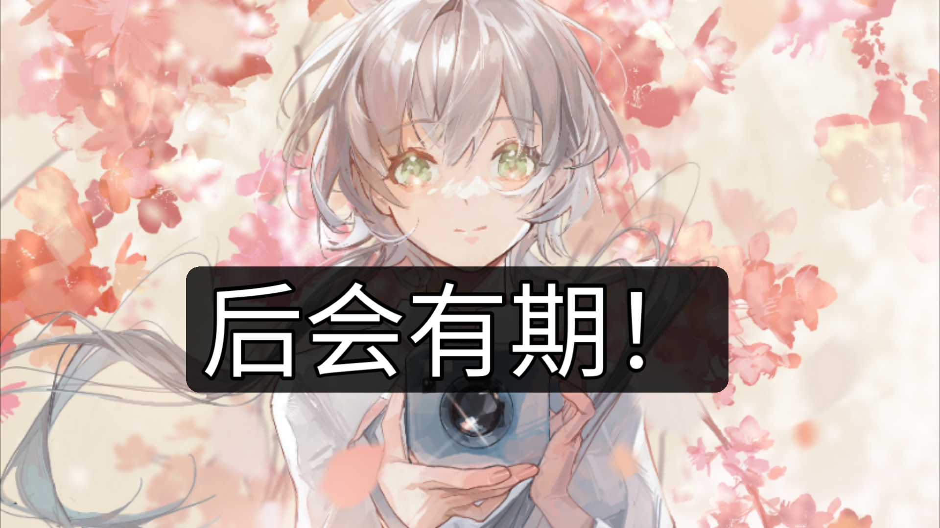 再见!后会有期!