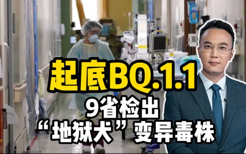 [图]起底BQ1.1，9省检出“地狱犬”变异毒株。地狱犬已在9省份检出但尚未流行