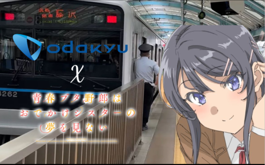 【青猪x小田急电铁】联动!小田急站内麻衣语音广播【中字】