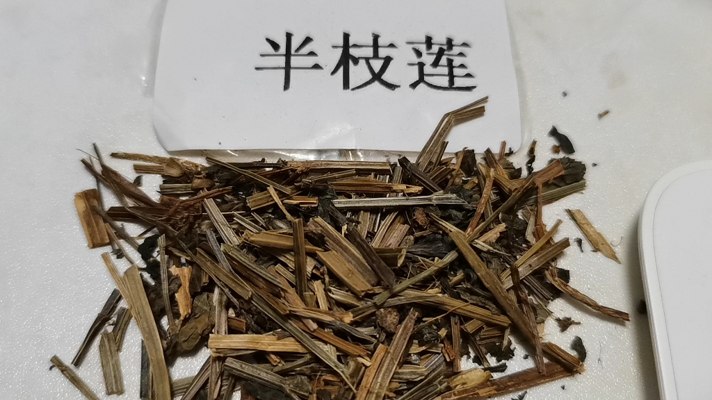 每天了解一味中药:半枝莲(需在医生指导下使用)ps:无滤镜