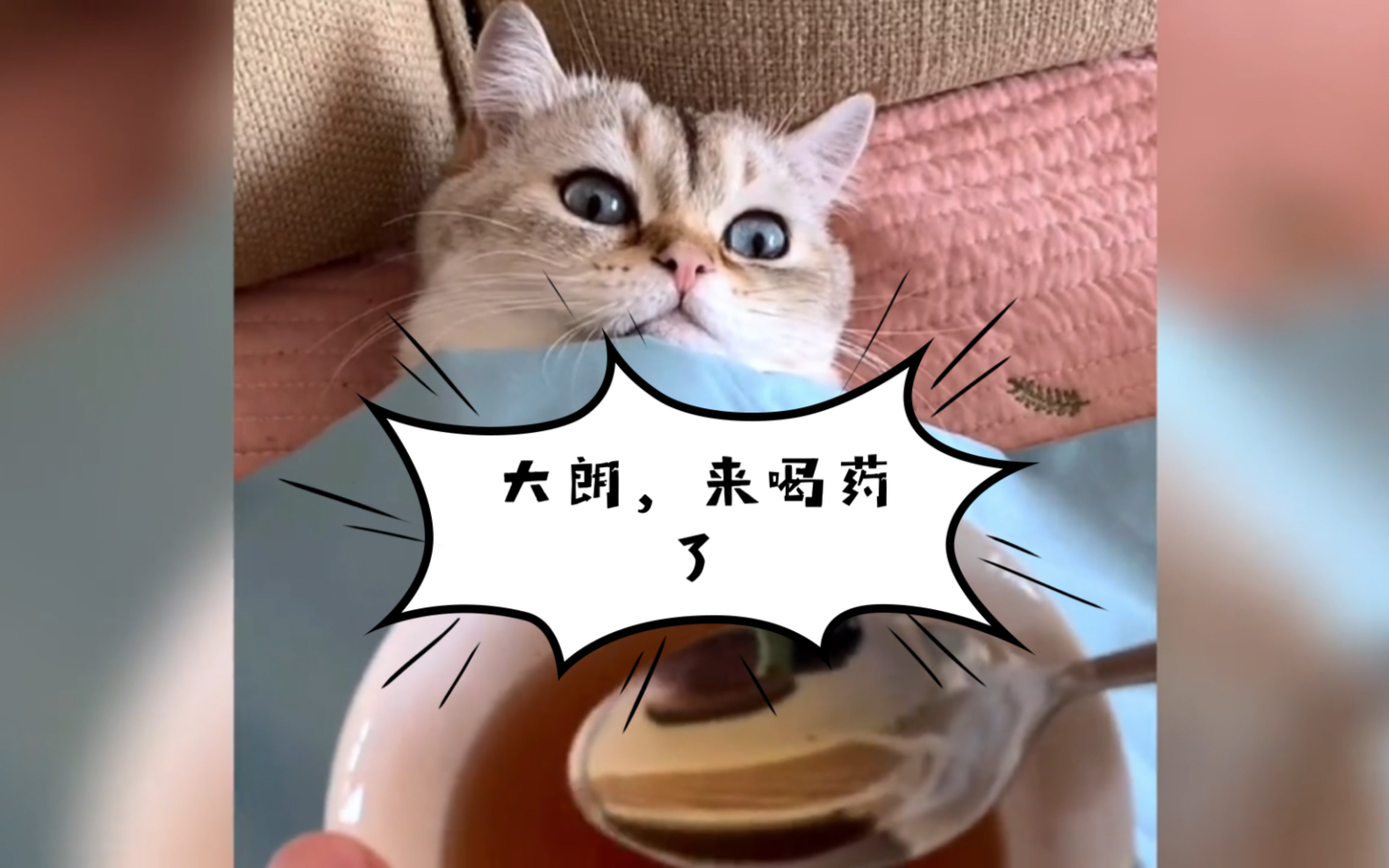 大朗起来把药喝了图片，大郎,起来把药喝了图片