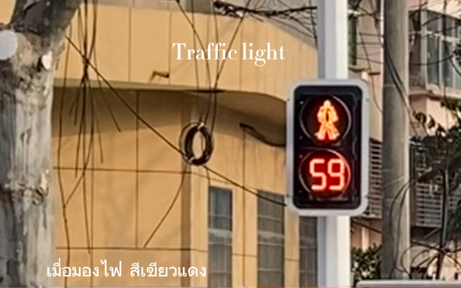 [图]信号灯traffic light- Minnie