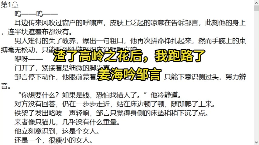 [图]《渣了高岭之花后，我跑路了》姜海吟邹言，人气爆火小说阅读推荐！