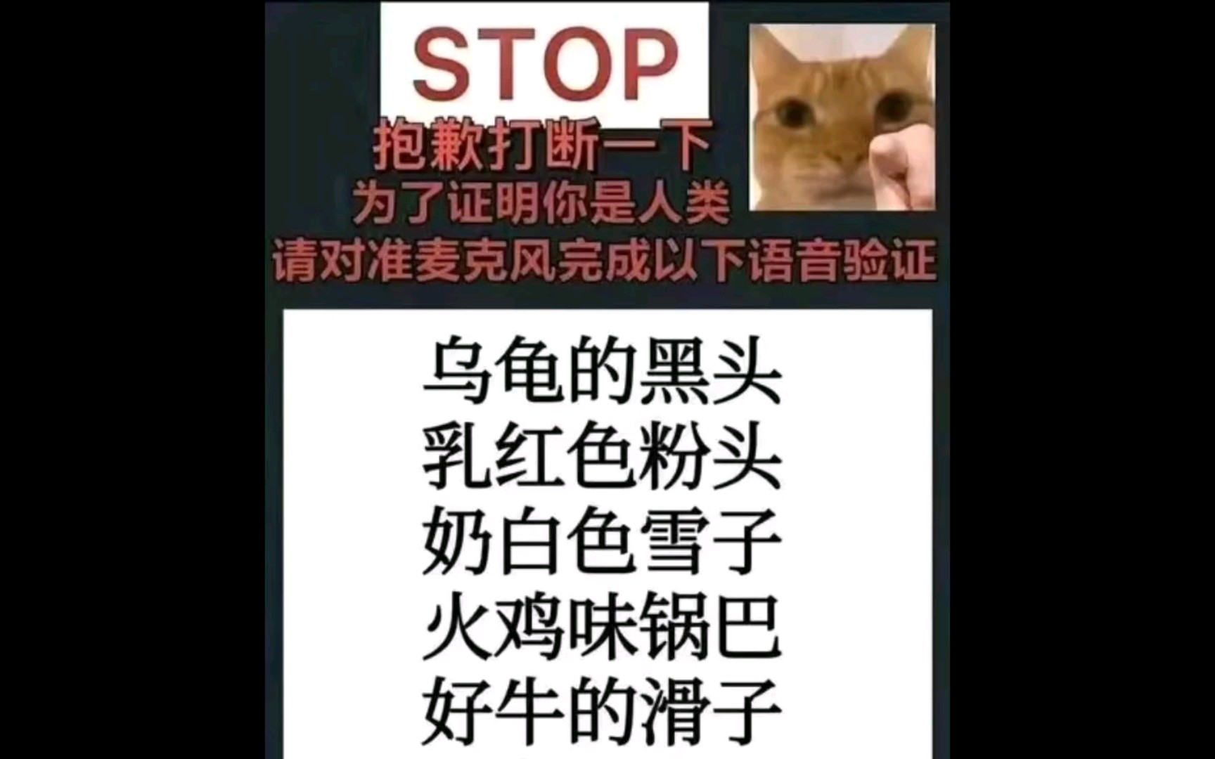 沙雕网图(72)火鸡味锅巴哔哩哔哩bilibili