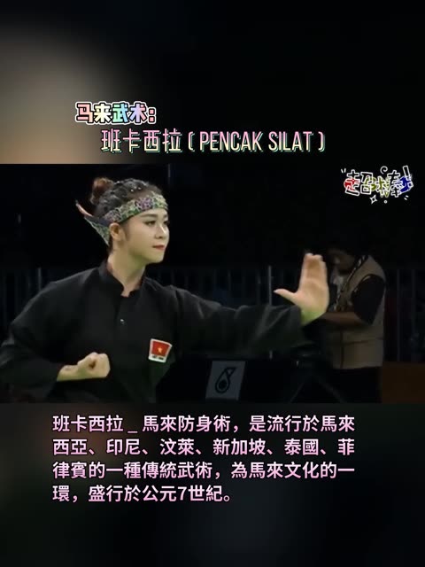 马来武术: 班卡西拉 ( Pencak Silat )  班卡西拉,马来防身术,是流行於马来西亚、印尼、汶莱、新加坡、泰国、菲律宾的一种传统武术,为马来文化的...