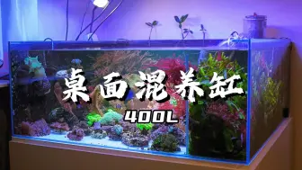 Download Video: 海缸大乱斗 超多生物 总水体：400L