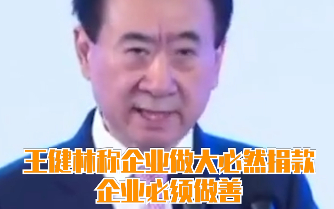 王健林称企业做大必然捐款,企业必须做善哔哩哔哩bilibili