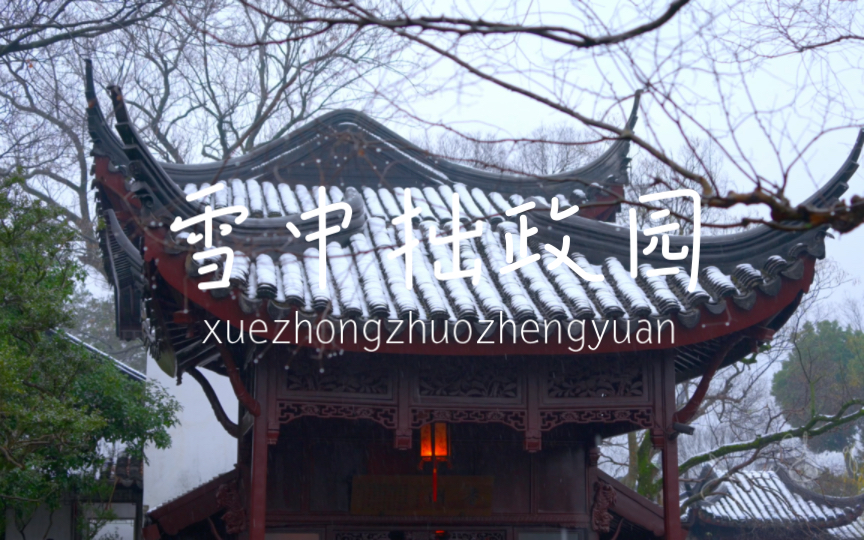 雪中拙政园,感受冬日美景!哔哩哔哩bilibili