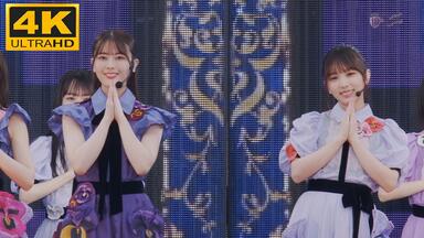 乃木坂46 8th YEAR BIRTHDAY LIVE Day2【トキトキメキメキ心动不已】_