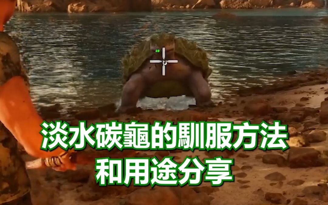 & 用途分享 | 知识技巧 | 新手教学攻略心得 | 全字幕 【 方舟:生存