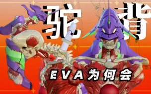 Download Video: Eva机体的驼背形态：插入栓与脊柱结构的较量。