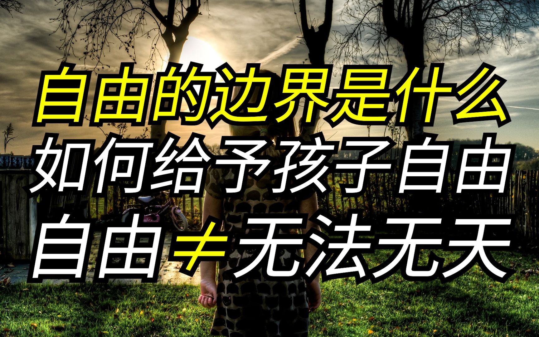 自由的边界是什么,为什么自由对每个人都很重要?如何给予孩子自由,如何给予自己自由,什么是一个人应尽的责任,如何对他人和社会负责哔哩哔哩...