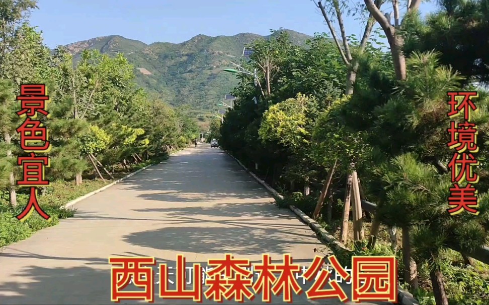 石家庄西山森林公园,适合爬山旅游锻炼身体的好去处哔哩哔哩bilibili