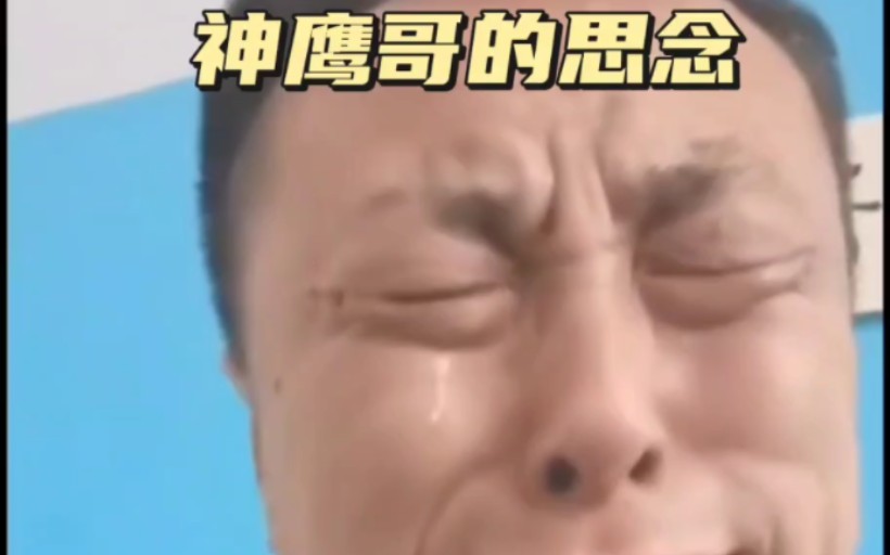 神鹰兄弟最后的思念