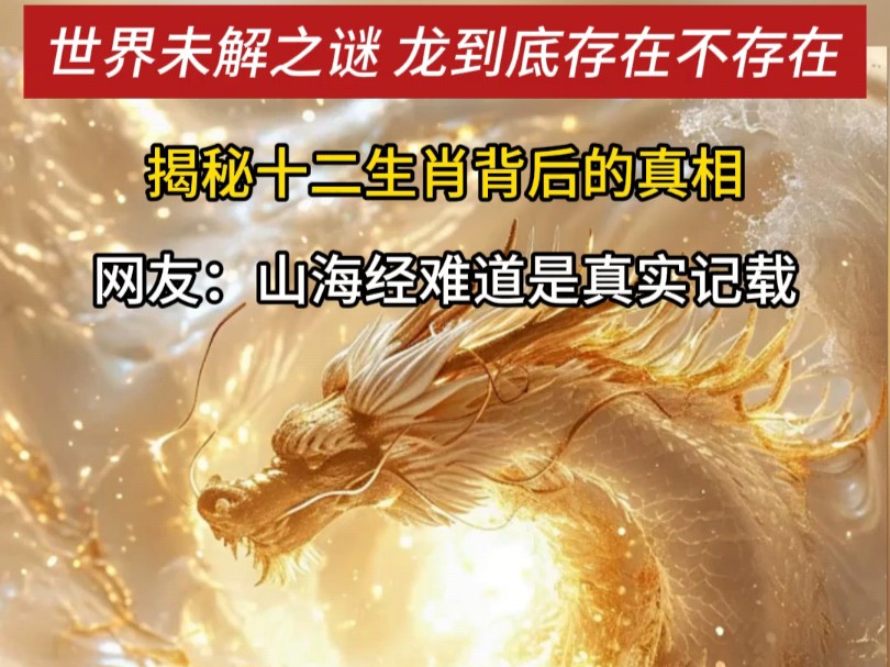 龙是我们的护身神兽