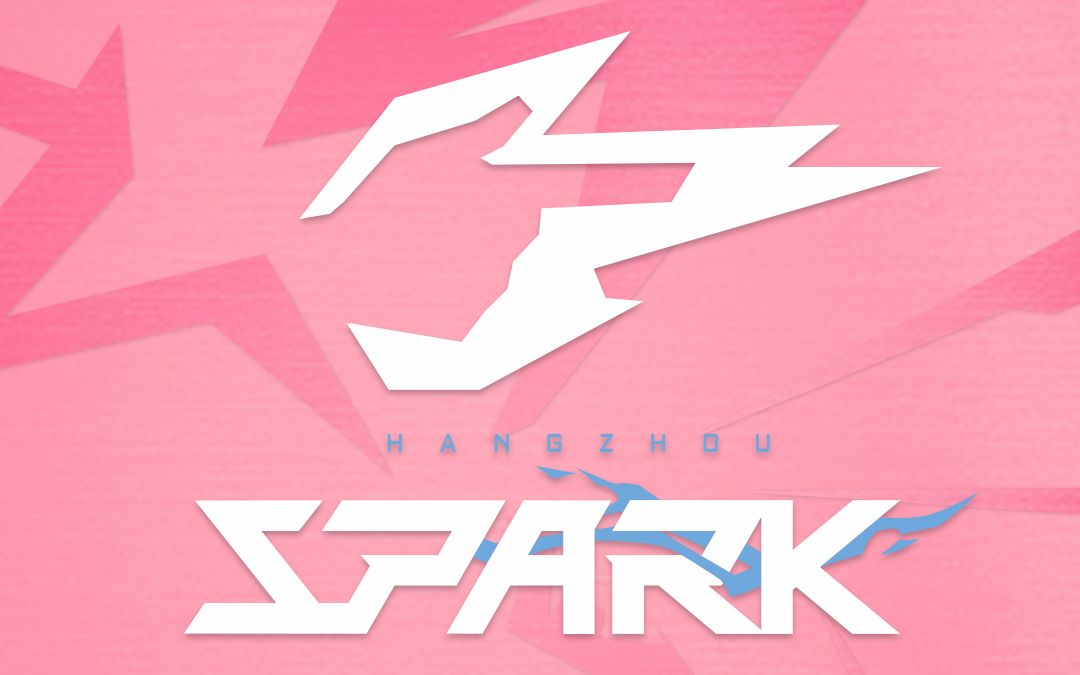 杭州闪电队水友赛201915