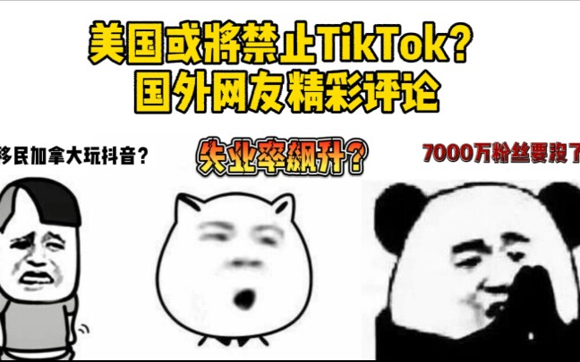 美国或将禁止Tiktok?国外网友精彩评论,竟要移民加拿大玩抖音?7000万粉丝要凉了?哔哩哔哩bilibili