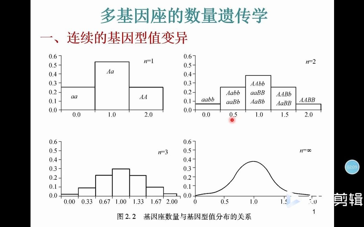 《动物数量遗传学》第2章 多基因座哔哩哔哩bilibili