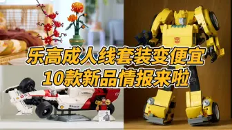 Descargar video: 乐高成人线套装，越卖越便宜了？