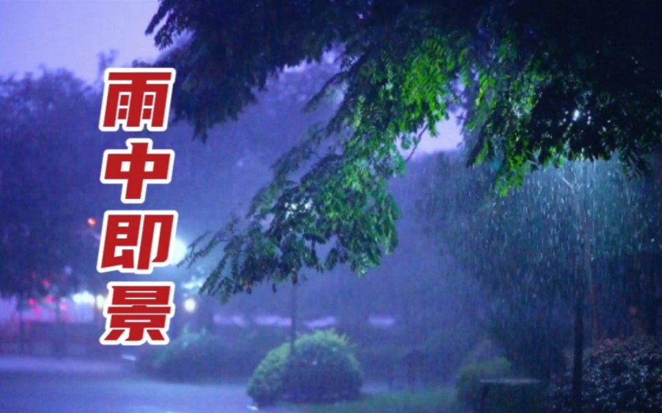 一首台湾歌曲《雨中即景》欢快幽默,上世纪80年代曾风靡一时哔哩哔哩bilibili