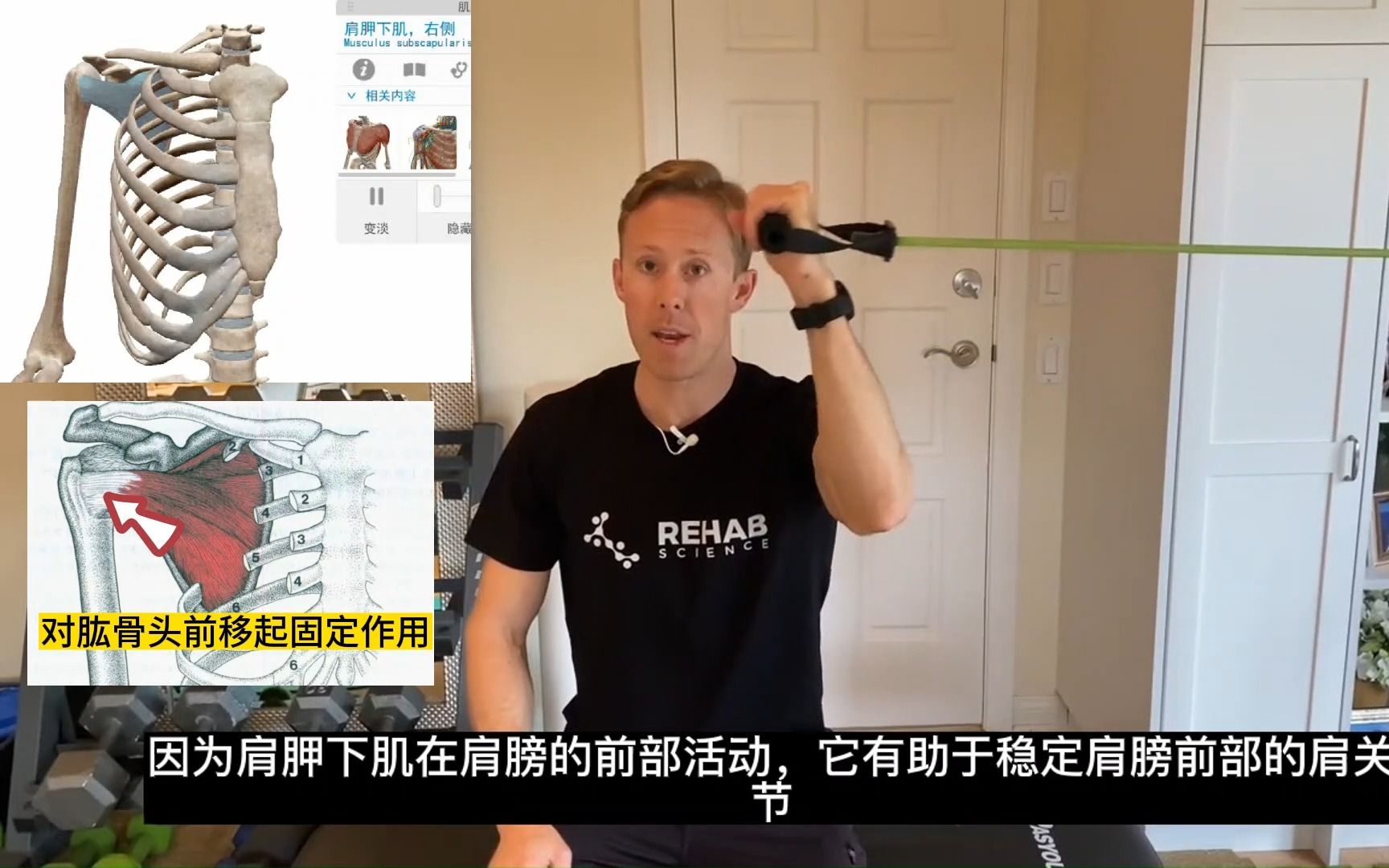 肩胛下肌训练,提升肩袖肌肉力量和稳定性,防脱臼,运动康复