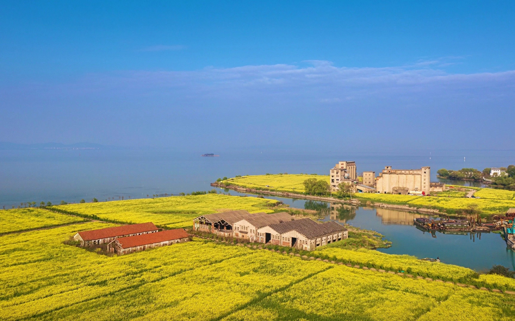 苏州西山油菜花