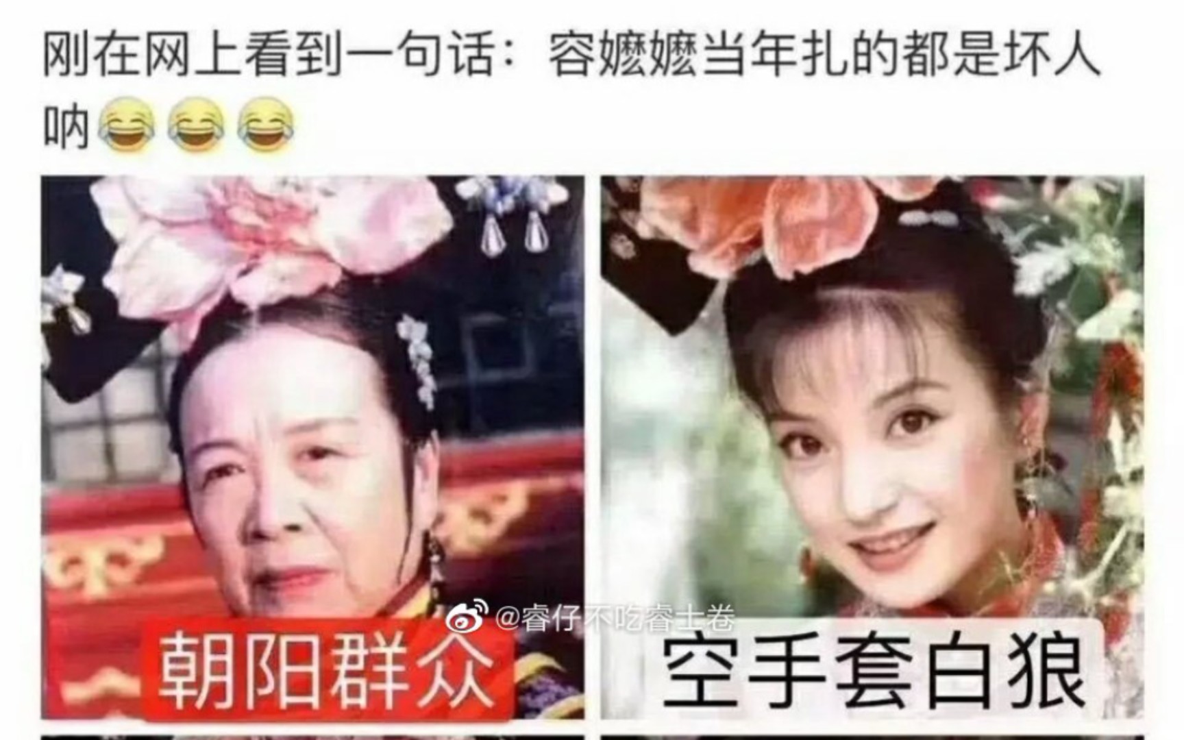 [图]赵薇被封杀 原来容嬷嬷当年扎的都是坏人呐