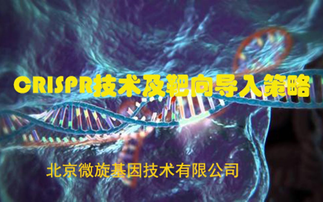 CRISPR技术及靶向导入策略1.CRISPR技术哔哩哔哩bilibili