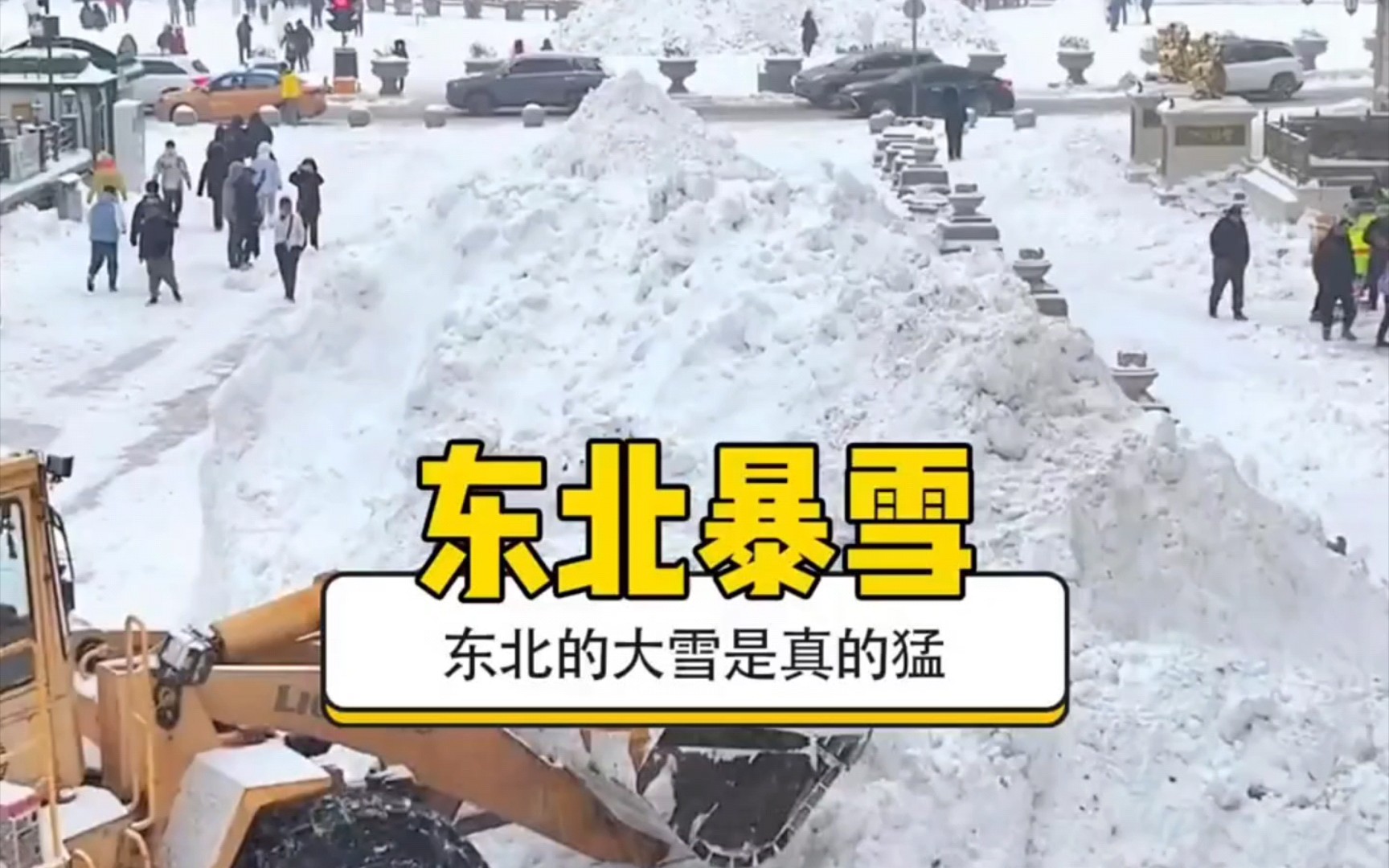 [图]东北暴雪到底有多猛 ？"老铁笑一笑 "东北下雪