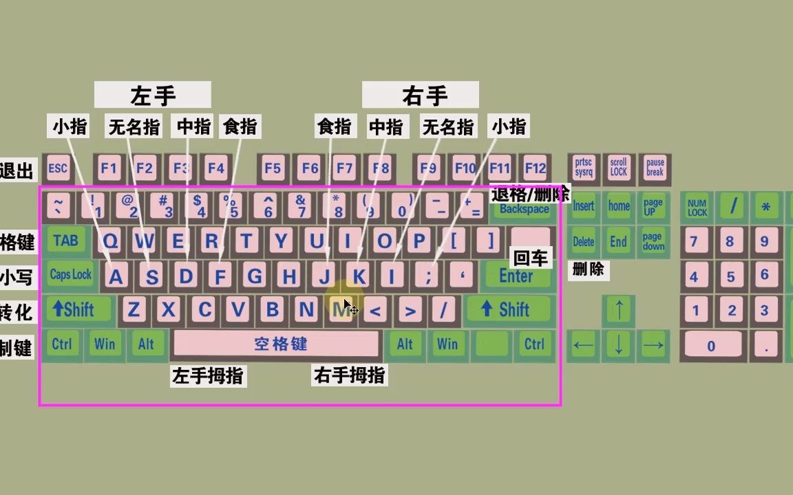 零基础学电脑打字,快速学会键盘打字,适合初学者学习