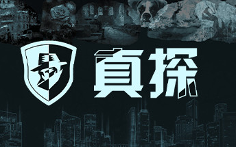 [图]【全成就|全流程】Steam文字推理解谜游戏《真探》视频攻略 迷失攻略组-七月末