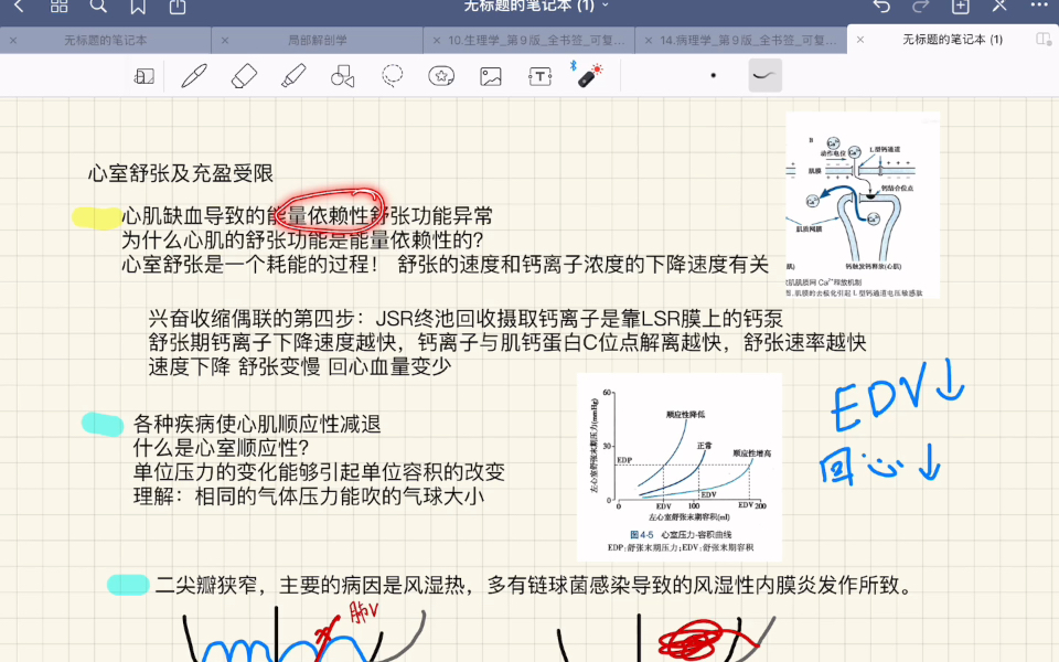 心室舒张及充盈障碍导致心功能不全的分析哔哩哔哩bilibili