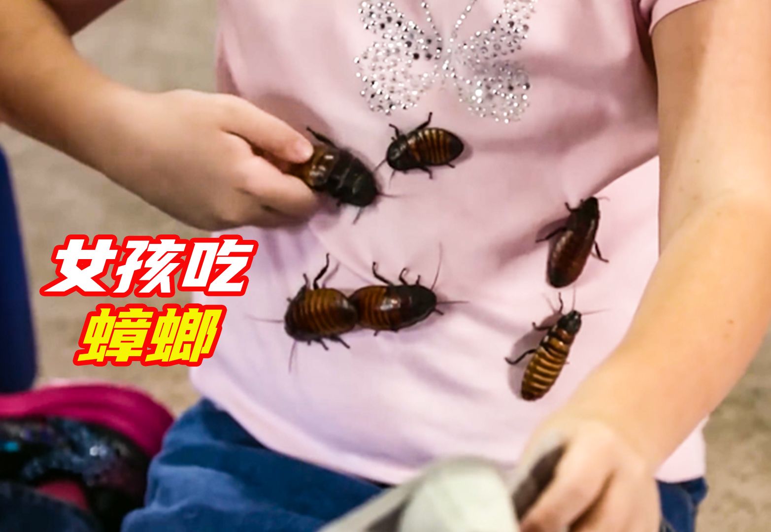女孩爱吃蟑螂,在家养了上万只,睡觉都要抱着
