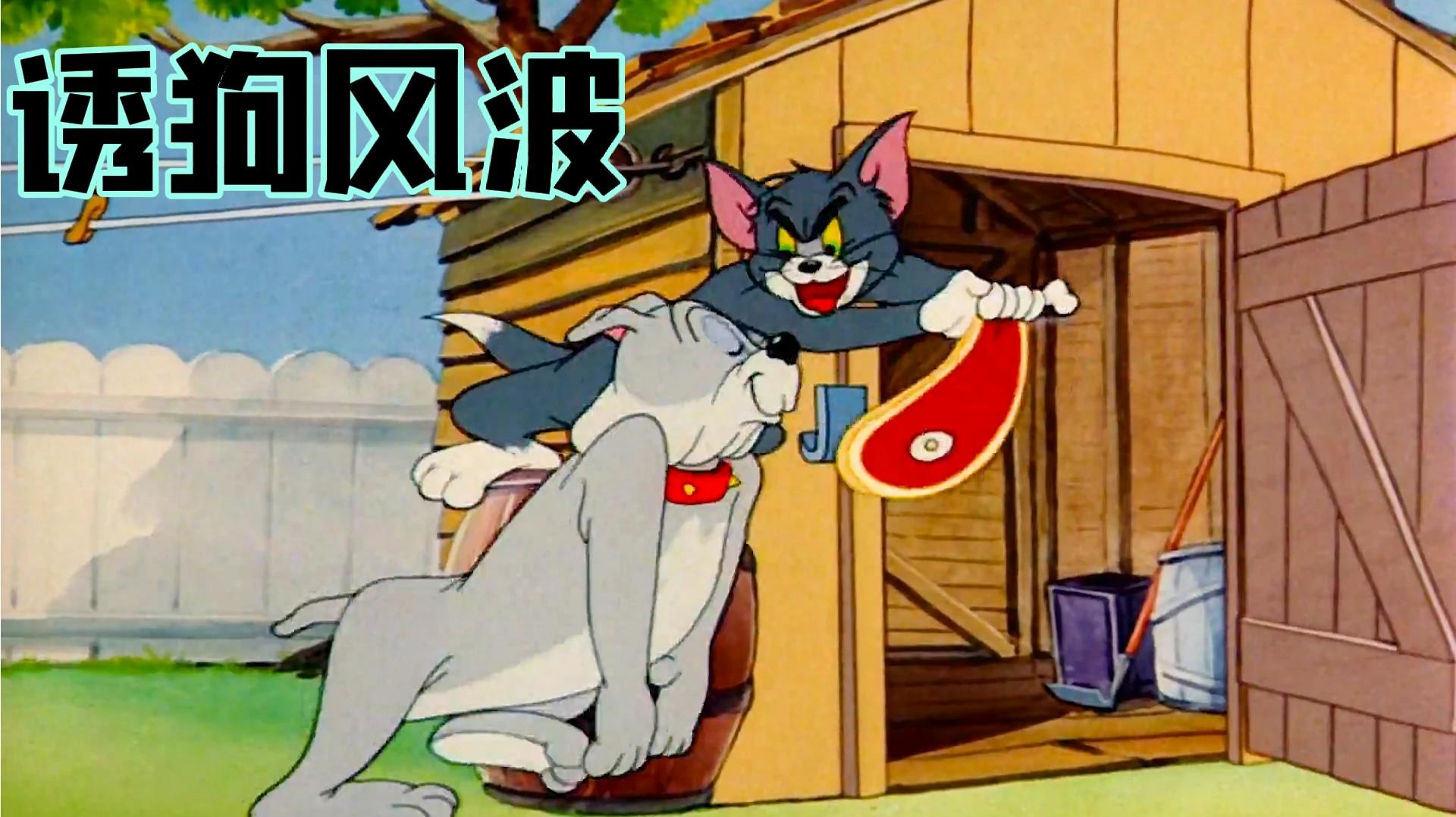 猫和老鼠:汤姆为了抓捕杰瑞与癞皮狗展开了一场老六级别的较量!