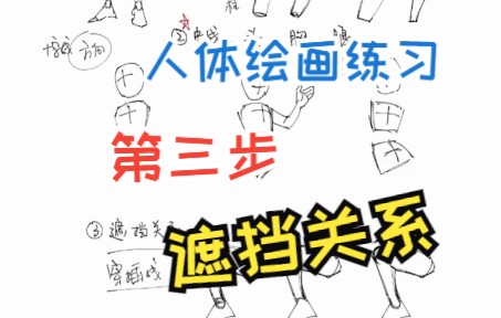 【人体绘画练习】不学透视,不管近大远小,就看遮挡关系哔哩哔哩bilibili